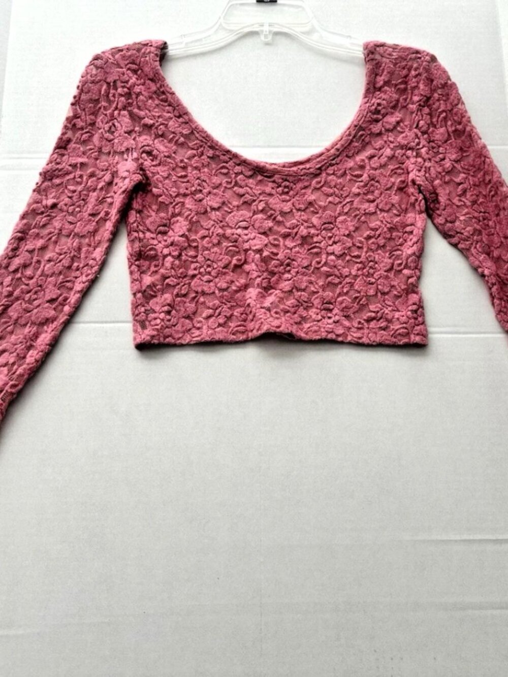 Vintage Pink Sheer Textured Lace Crop Top-Long Sleeve-Small
